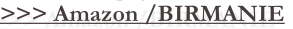shapeimage_3_link_12